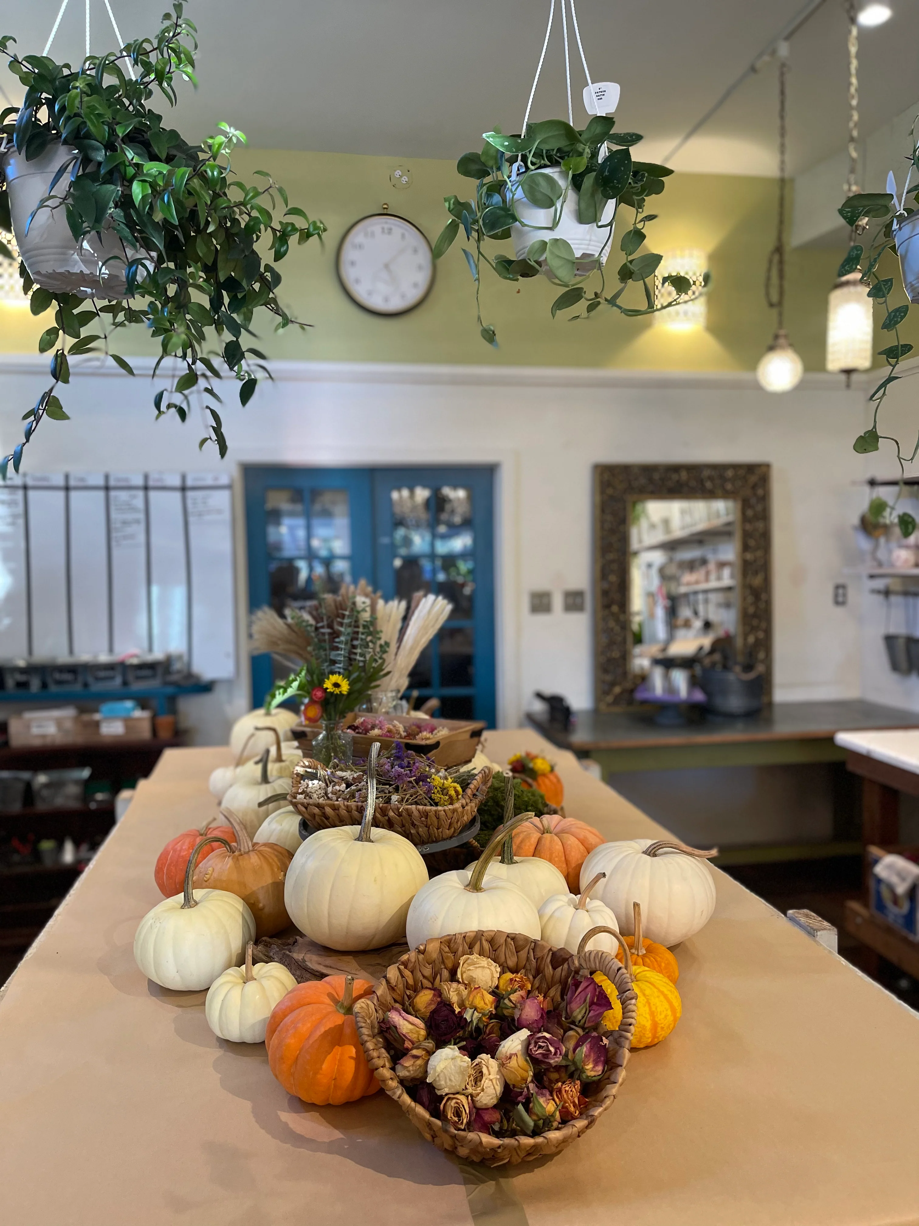 Fall Pumpkin Arrangement | Friday October 9th