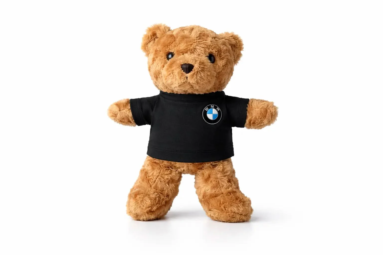 Plush Teddy Bear with Custom Shirt