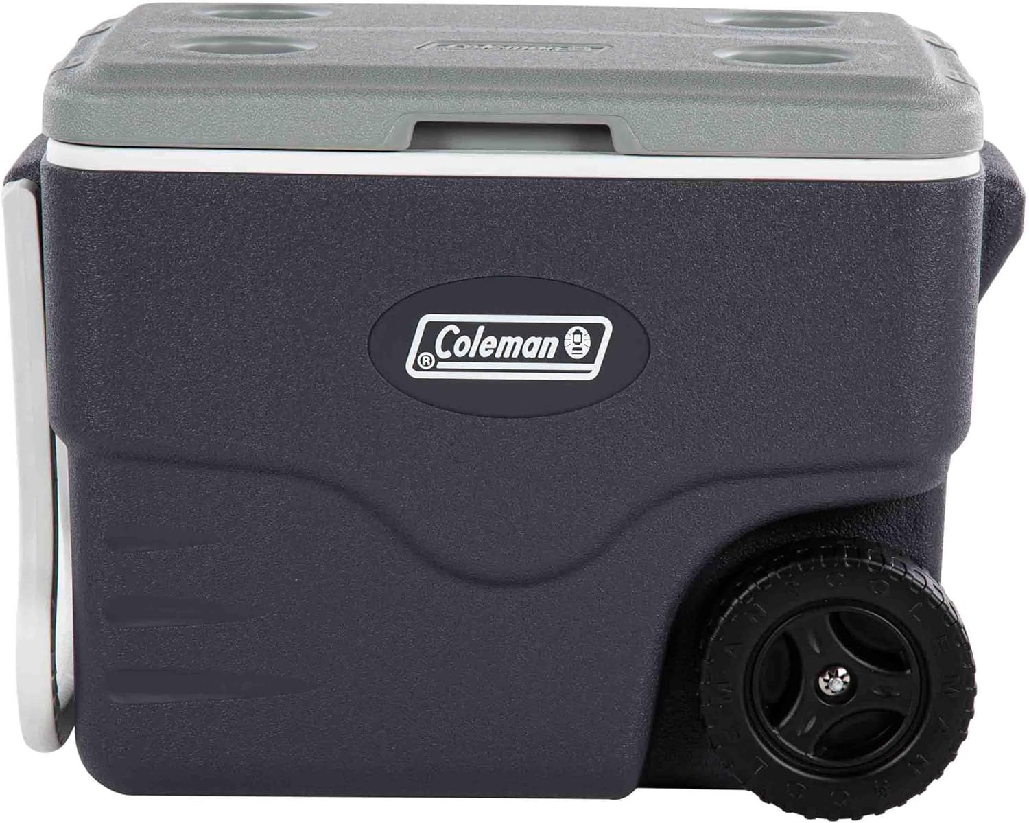 Coleman Daintree Portable Cooler, Sturdy Design for Outdoor & Indoor Use, Grey