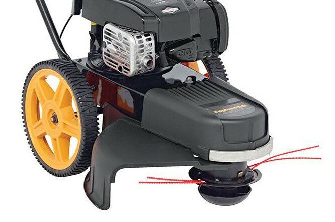 Carburetor For Poulan Pro 961720015 Lawn Trimmer Mower PR22WT 163cc 22