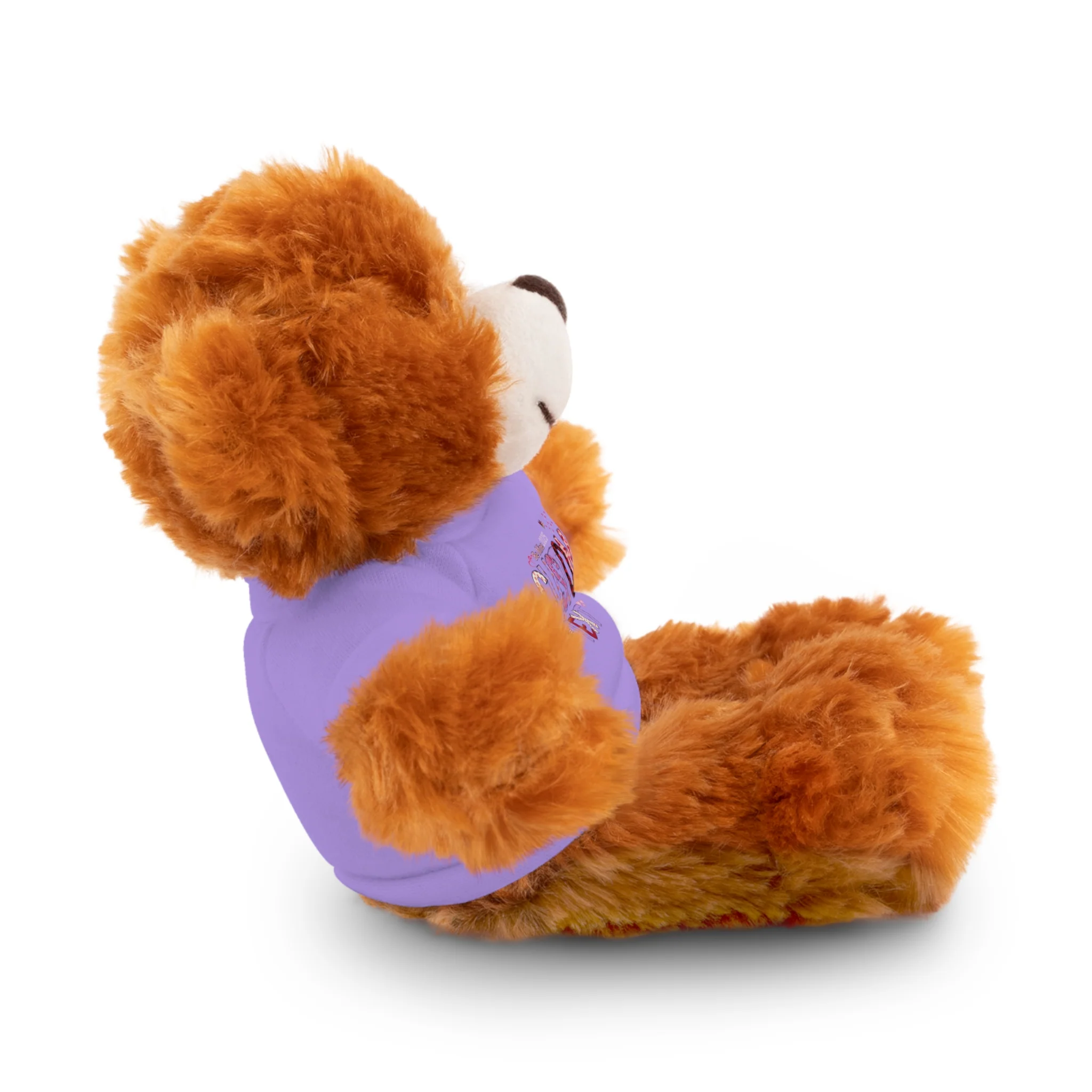 Stuffed Animals with Tee, Custom Text, Valentines Gift bear