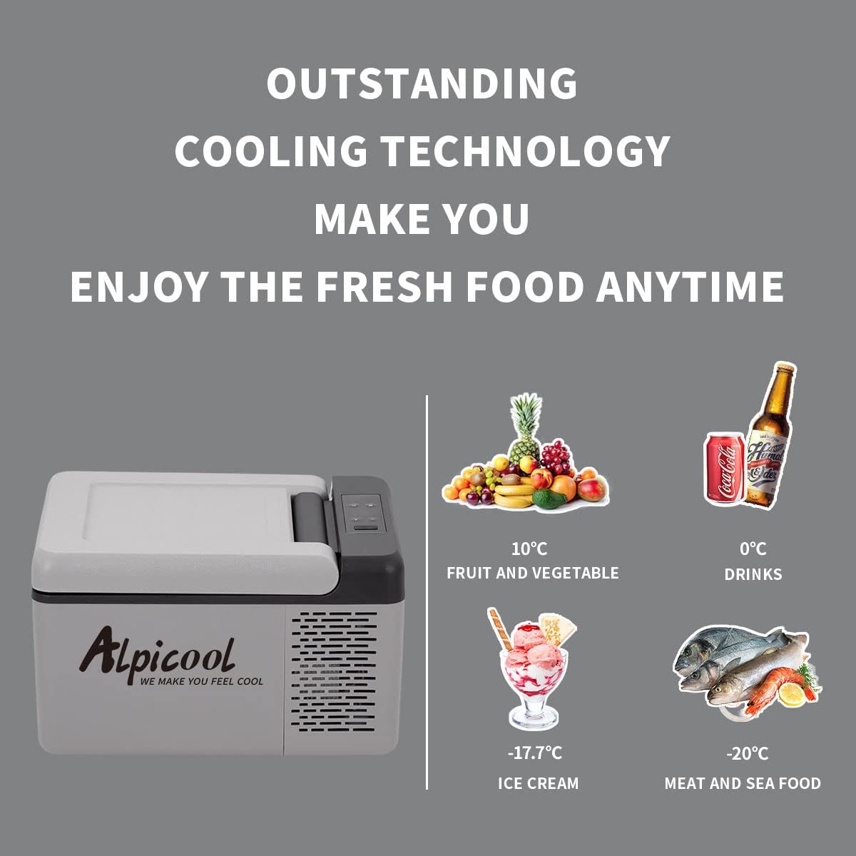Alpicool C12 12L Cool Box 12 V Mini Fridge Electric Compressor Car Fridge Camping Freezer Box Small Portable for Car, Truck, Boat, RV with USB Connection