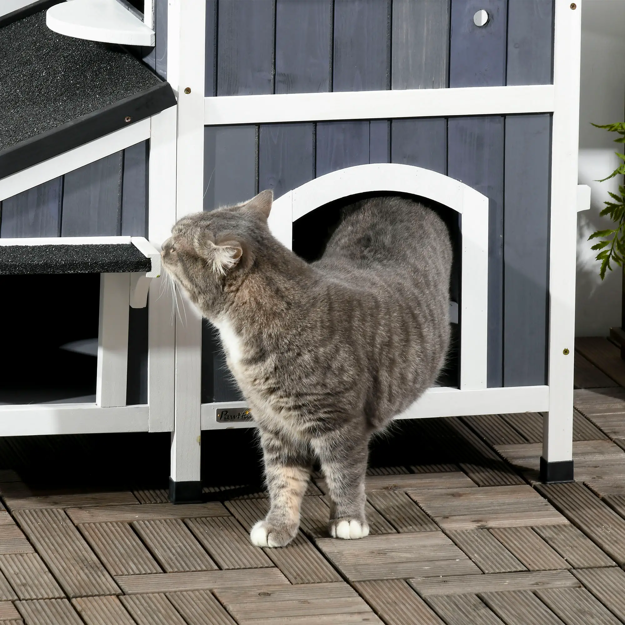 PawHut Kattenhuis voor buiten, 2 verdiepingen met asfaltdak en bloembak