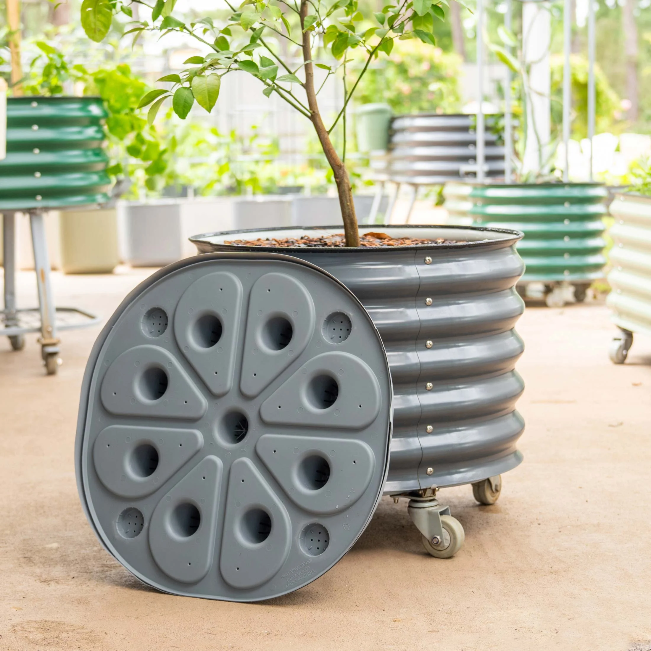 Brits Groen + Zelfbewaterende Rollende Citrusboom Planter