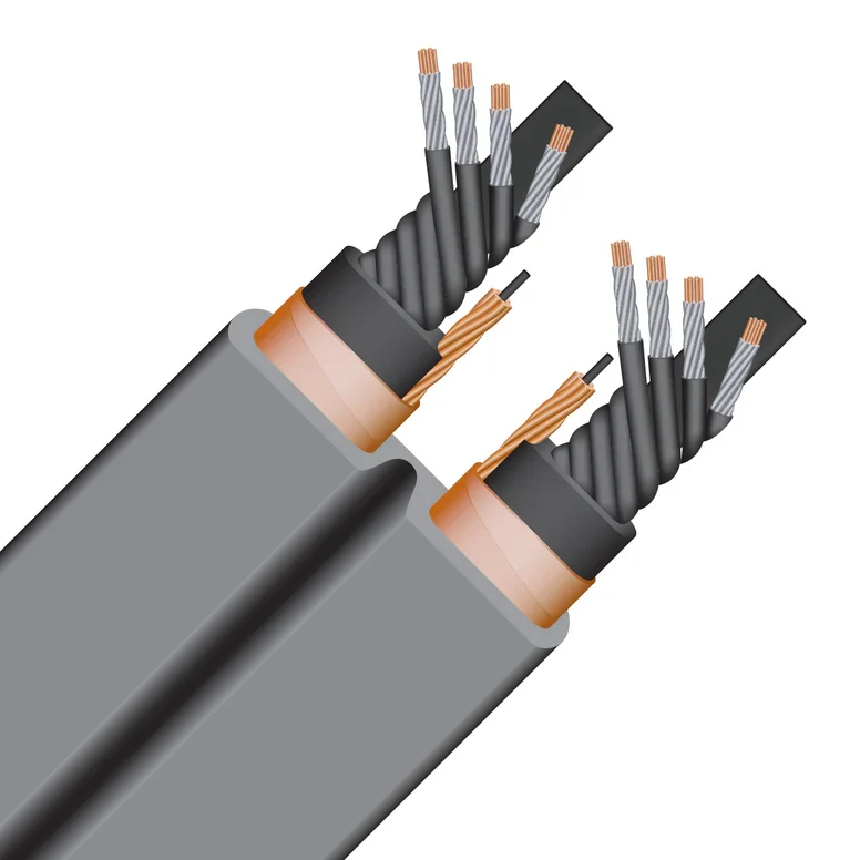 WireWorld Silver Electra? 10 Power Conditioning Cord