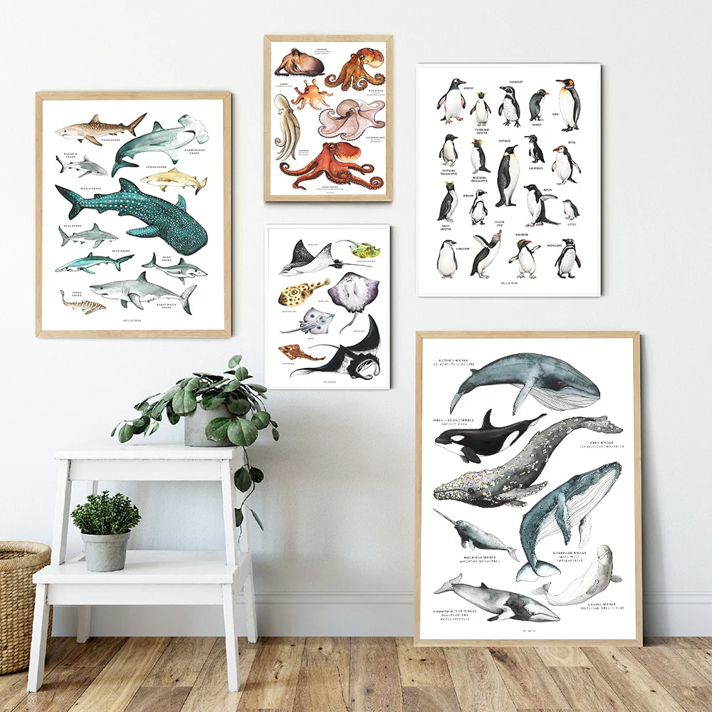 Sea Life Nursery Canvas Art Print - Educational Wall Art for Nursery