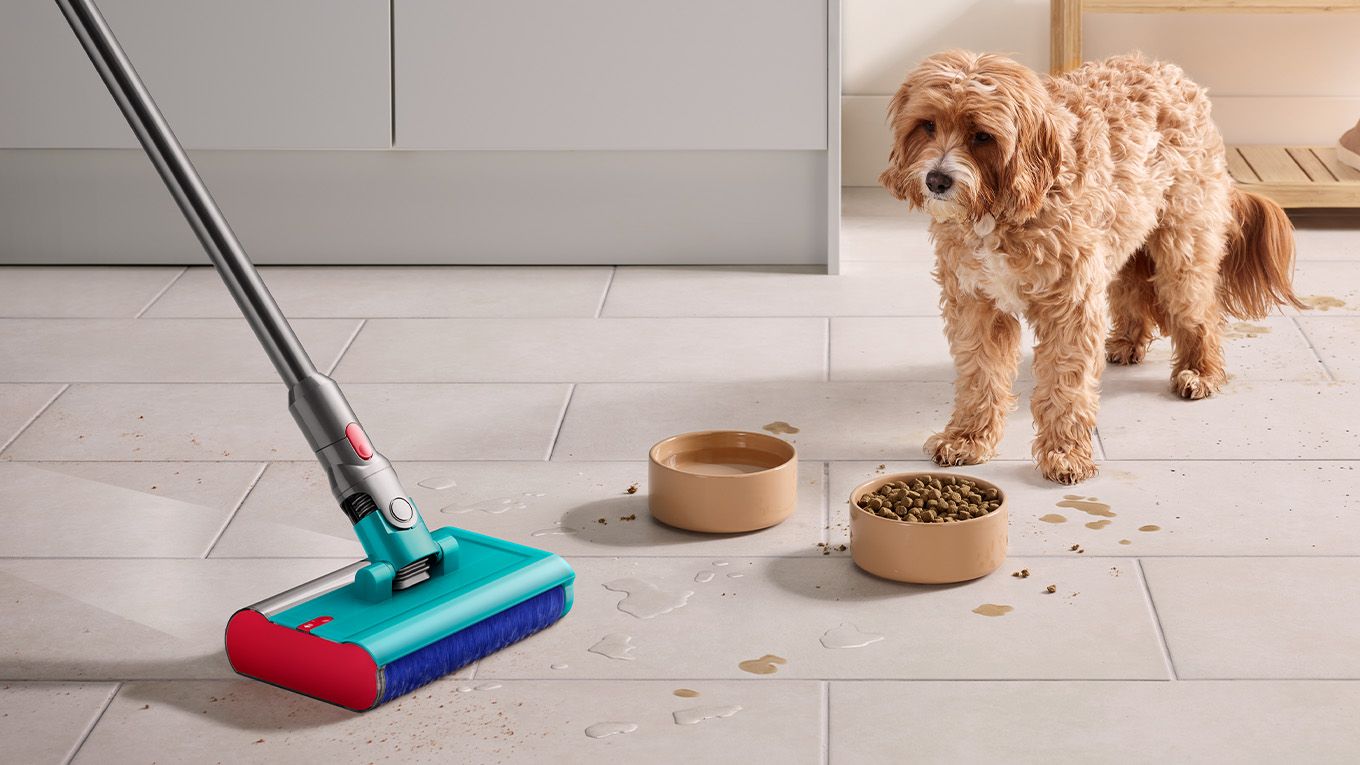 Un chien observe par-dessus ses gamelles d&rsquo;eau et de nourriture la brosse lavante en train de nettoyer.