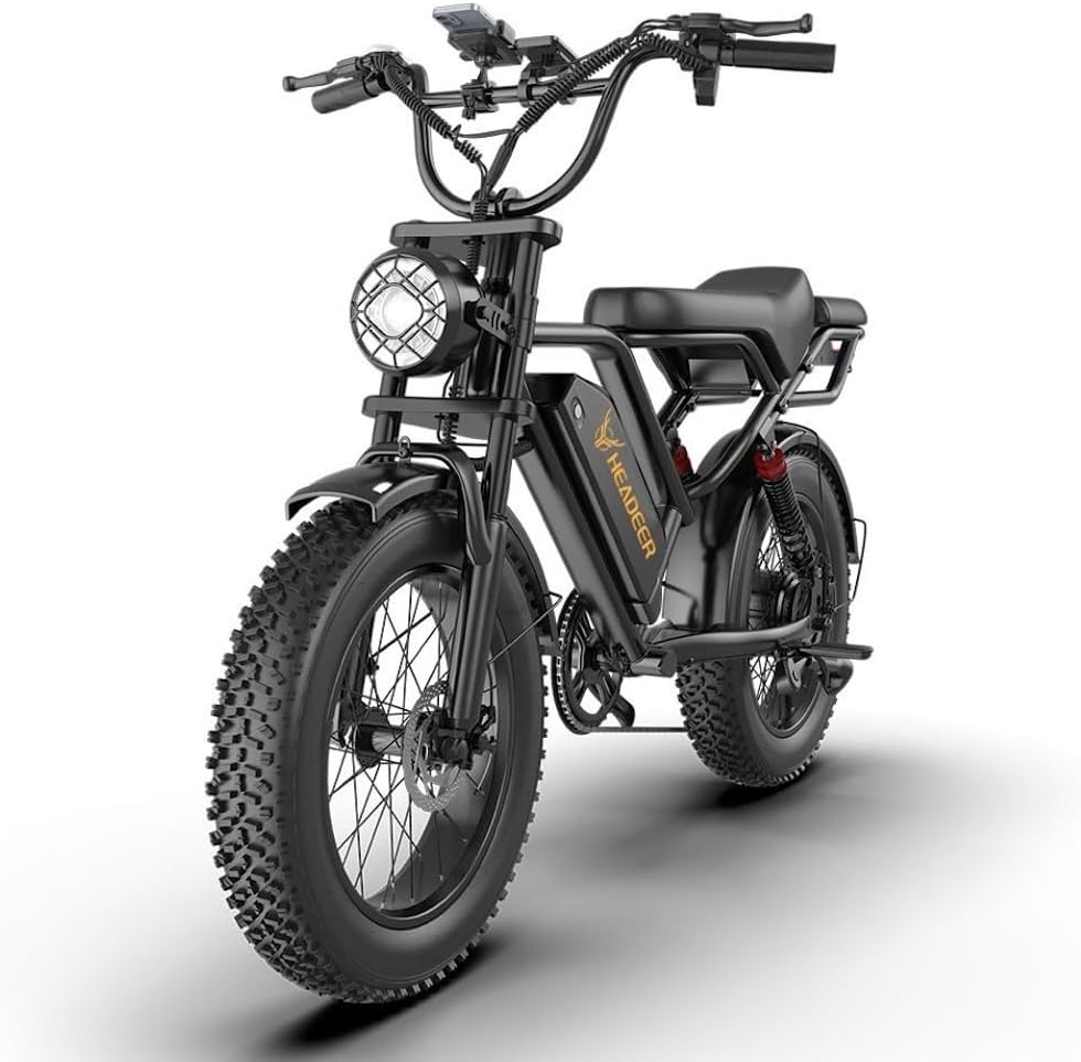 BK20 Electric Bike for Adults, 48 V, 20 Ah, Removable Battery, Large Range, Wide Tyres 20 x 4.0, Electric Mountain Bike, Electric Bike, All-Terrain Electric Bike.