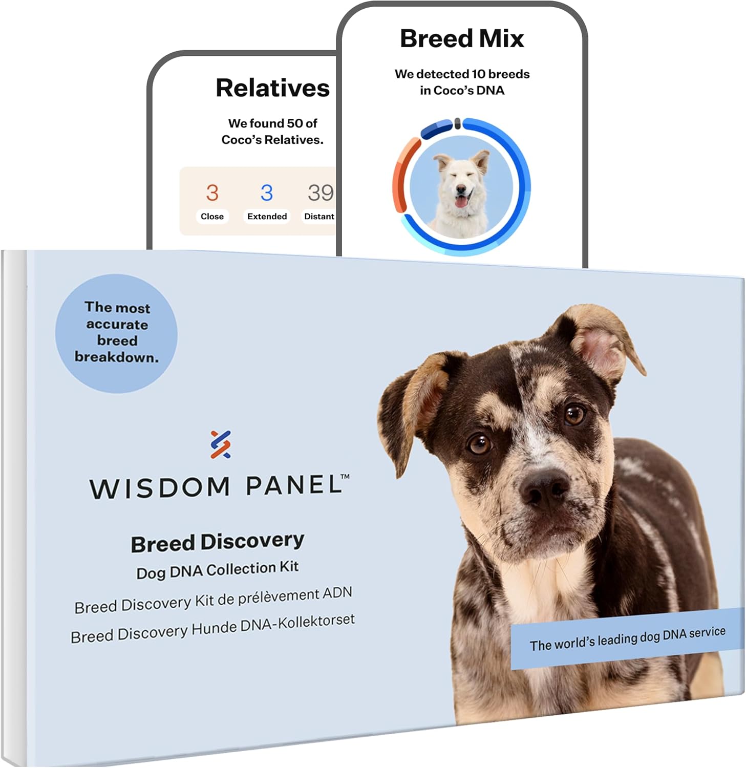 Wisdom Panel zur Feststellung von Hunderassen DNA-Test-Kit – przise Rassen-ID MDR1 Abstammung Verwandte