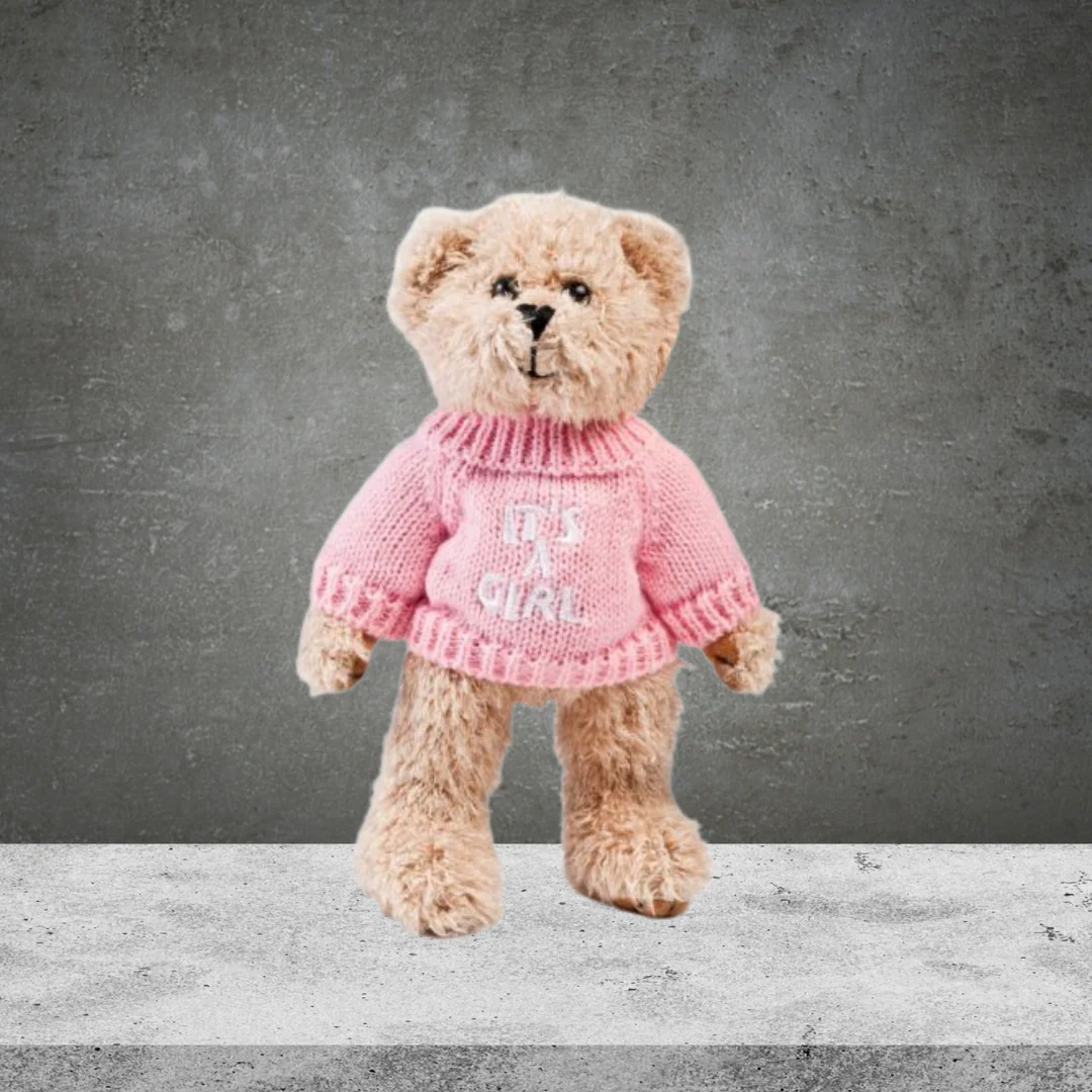 Baby Girl Teddy Bear