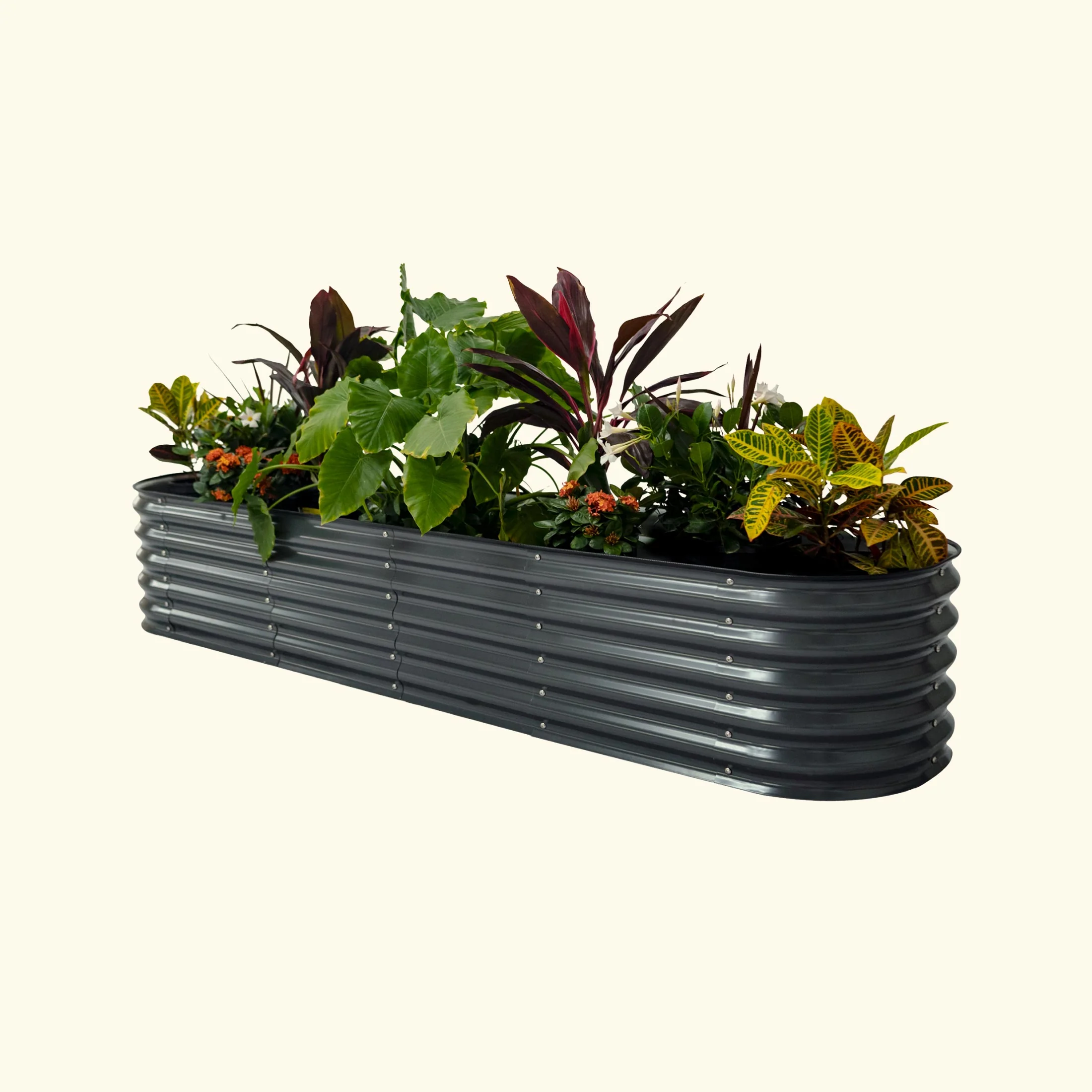 Zelfbewaterende verhoogde tuinbak