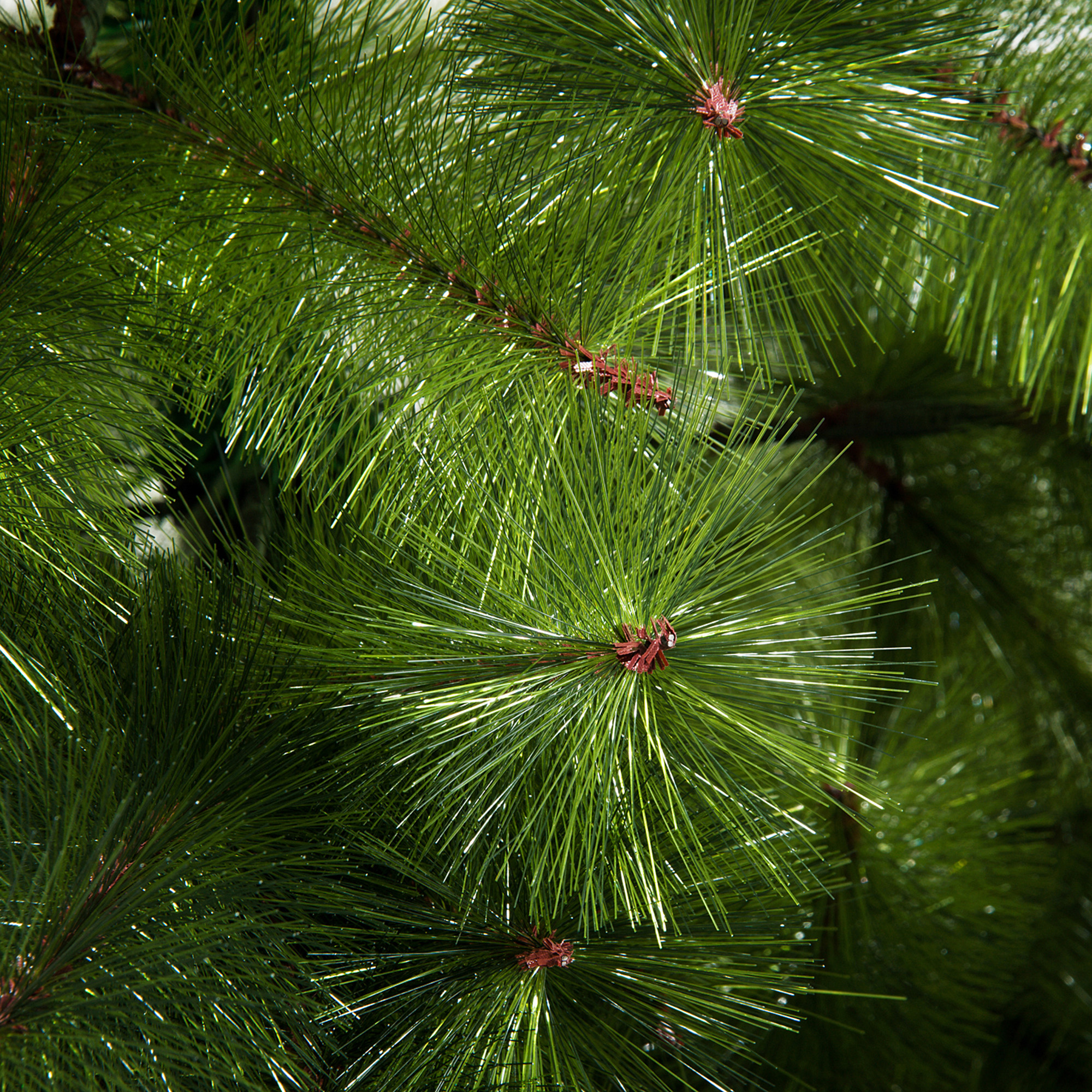 Kunstkerstboom 2,1 m kerstboom dennenboom 505 takken dichte takken eenvoudig te monteren authentieke kerstboom met metalen standaard PET metaal groen ? 90 x 210 cm