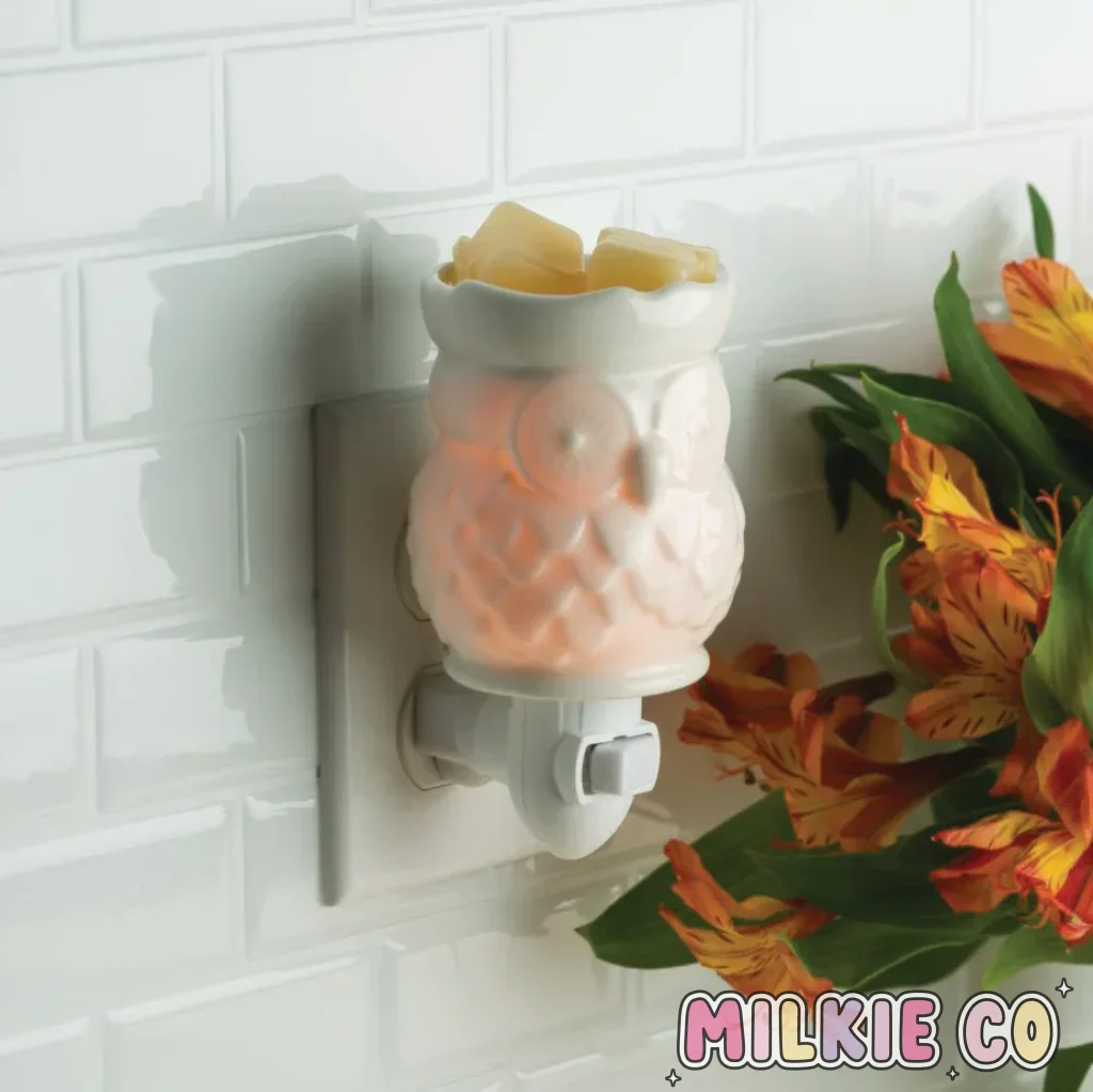 Pluggable Melt Warmers