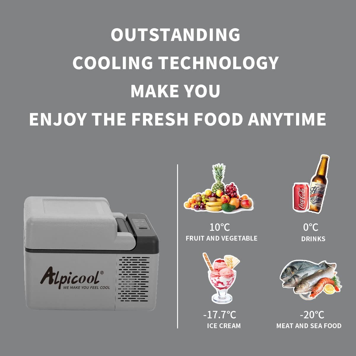 Alpicool C12 12L Cool Box 12 V Mini Fridge Electric Compressor Car Fridge Camping Freezer Box Small Portable for Car, Truck, Boat, RV with USB Connection