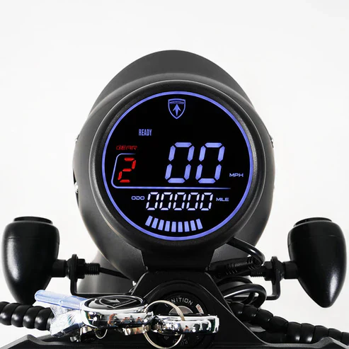 LCD-display voor Citycoco MangoSteen M1P elektrische chopper scooter