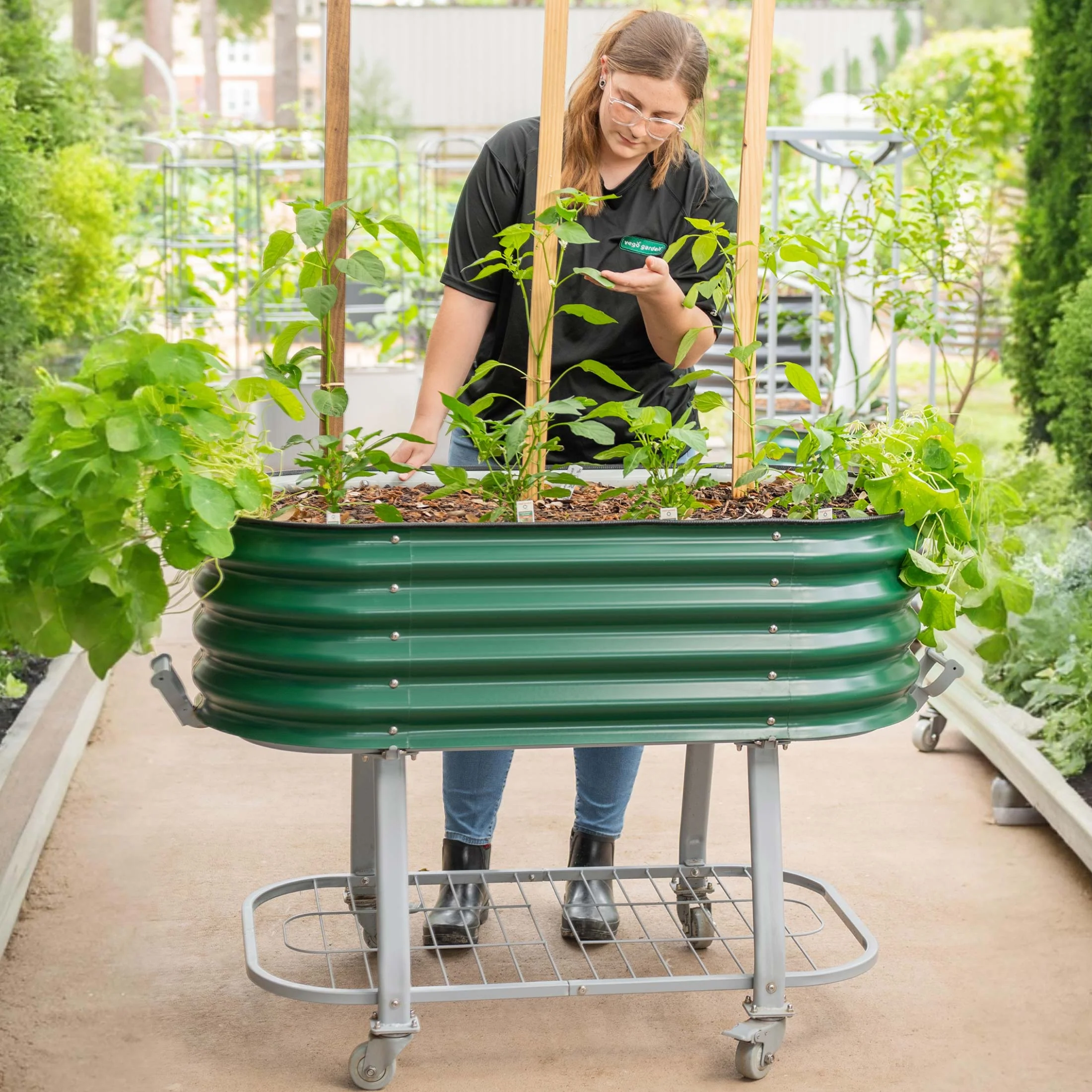Geavanceerde verhoogde tuinbak