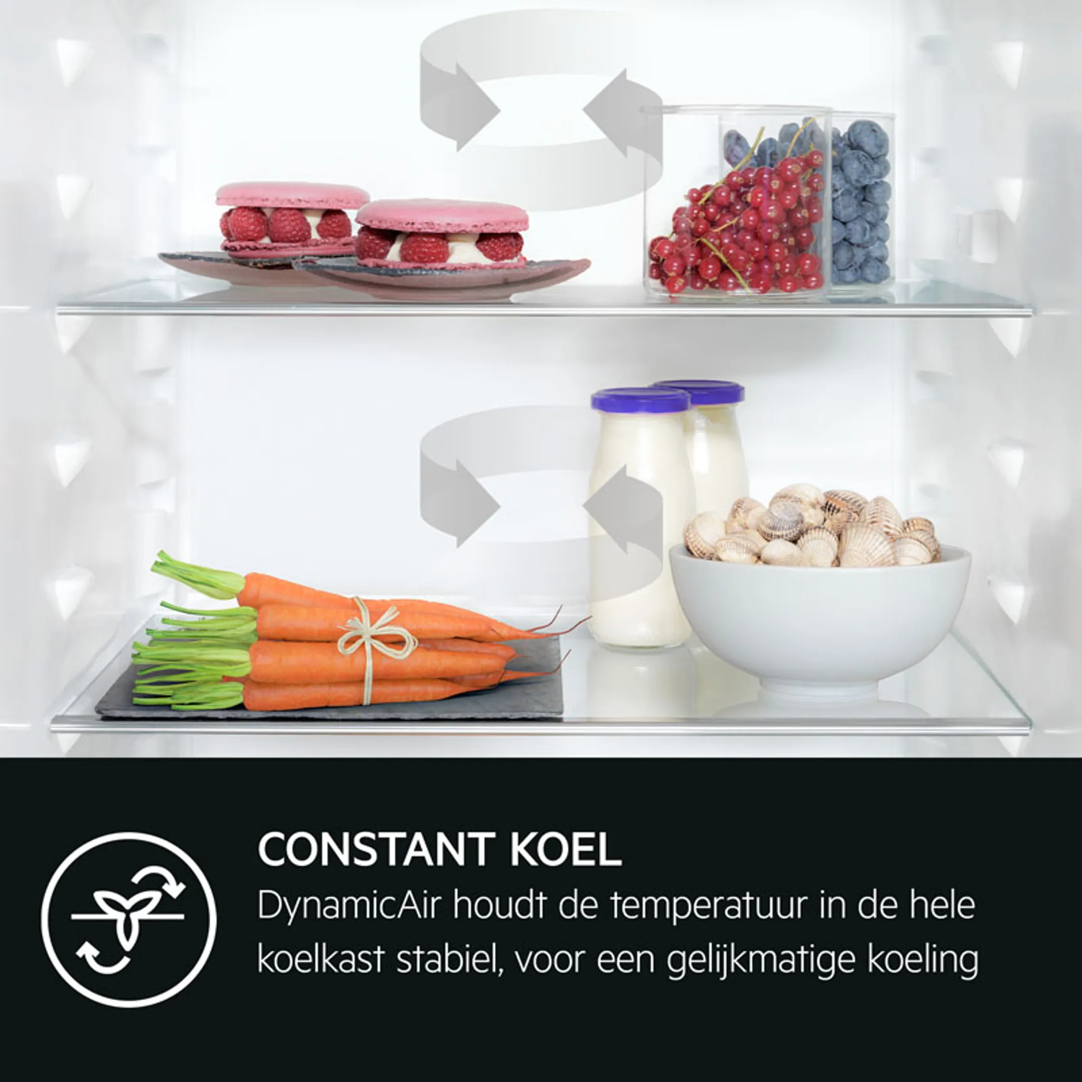 AEG Koelkast RKB333E2DX