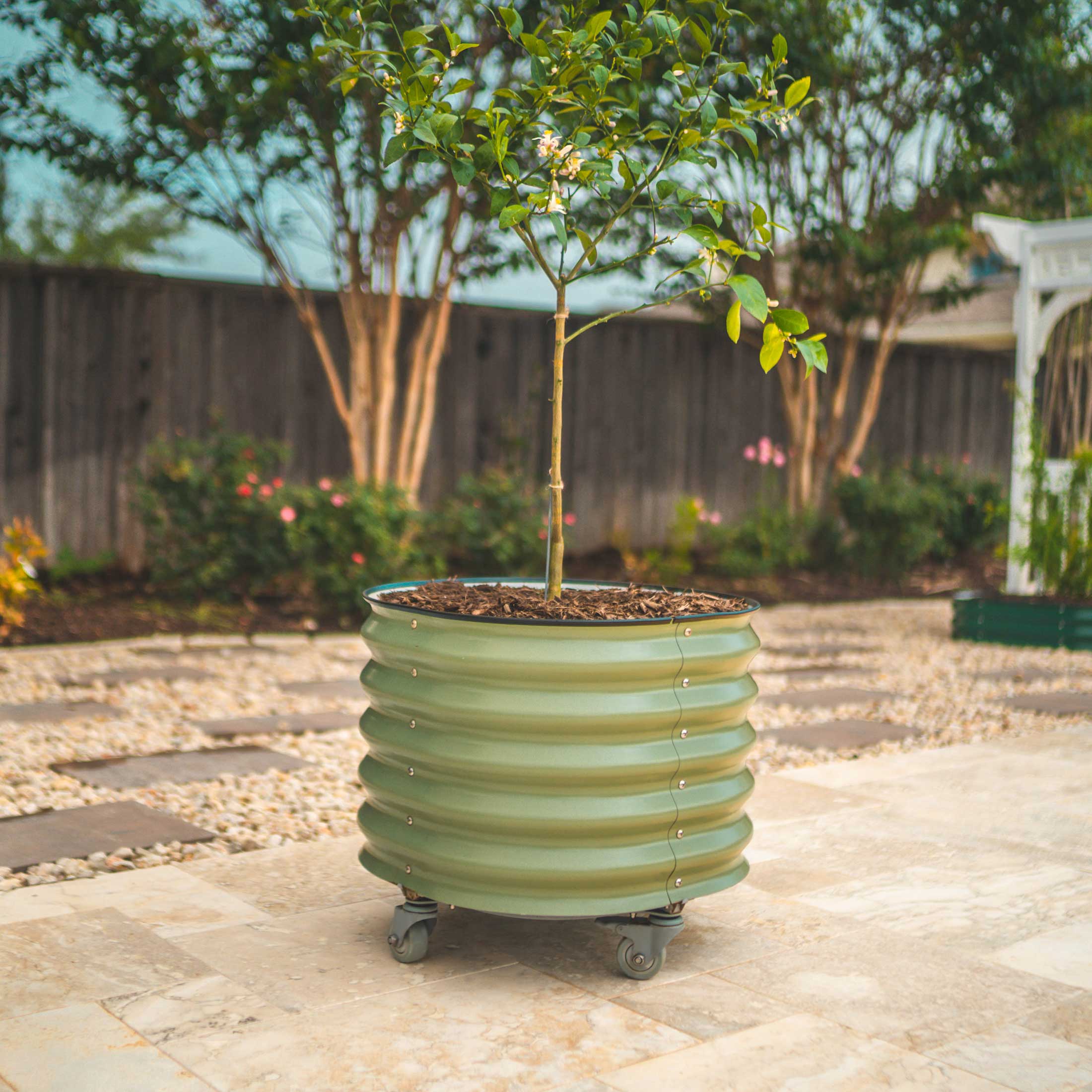 Brits Groen + Zelfbewaterende Rollende Citrusboom Planter