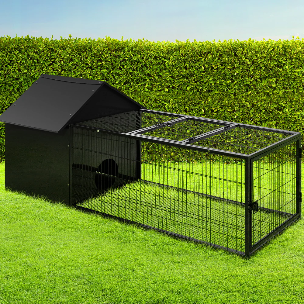 Pet Supplies