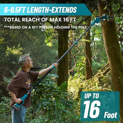 2 in 1 Mini Motosega con Batteria 8000mAh, Seesii 6 Pollici Motosega Telescopica senza spazzole, Svettatoio Telescopico Auto Lubrificante, Serbatoio Olio 30ml, Altezza Di Lavoro 4,57m : Amazon.it: Giardino e giardinaggio