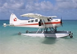 DEHAVILLAND DHC-2 BEAVER 22% - HOSTETLER