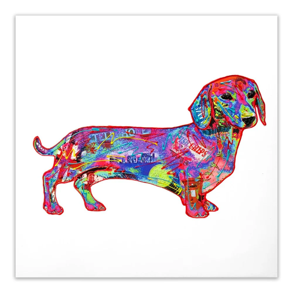 Sausage Dog
