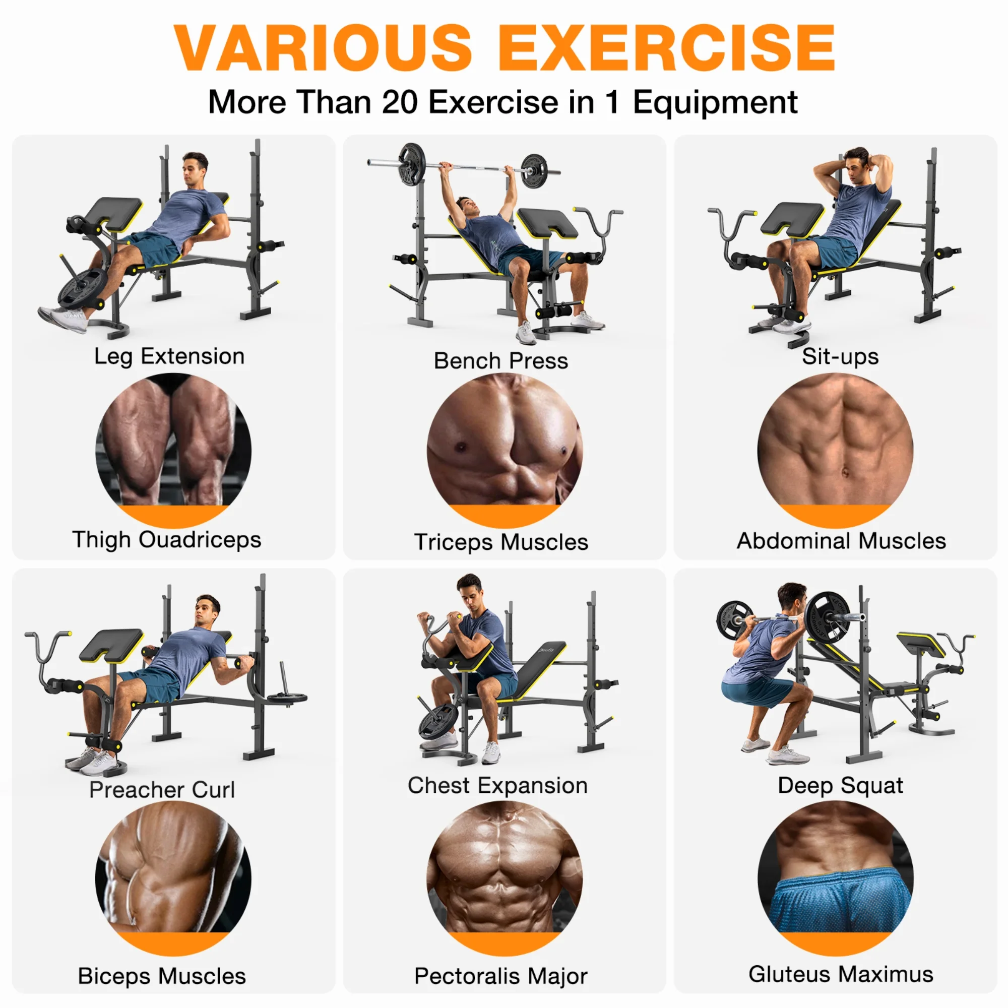Weight Bench, Blacksmith 1100 lb 6 - in - 1 Workout Bench Press with Squat Rack Leg Developer Preacher Curl Butterfly Arms, Gym Exercise Equipment for Full Body Home Gym