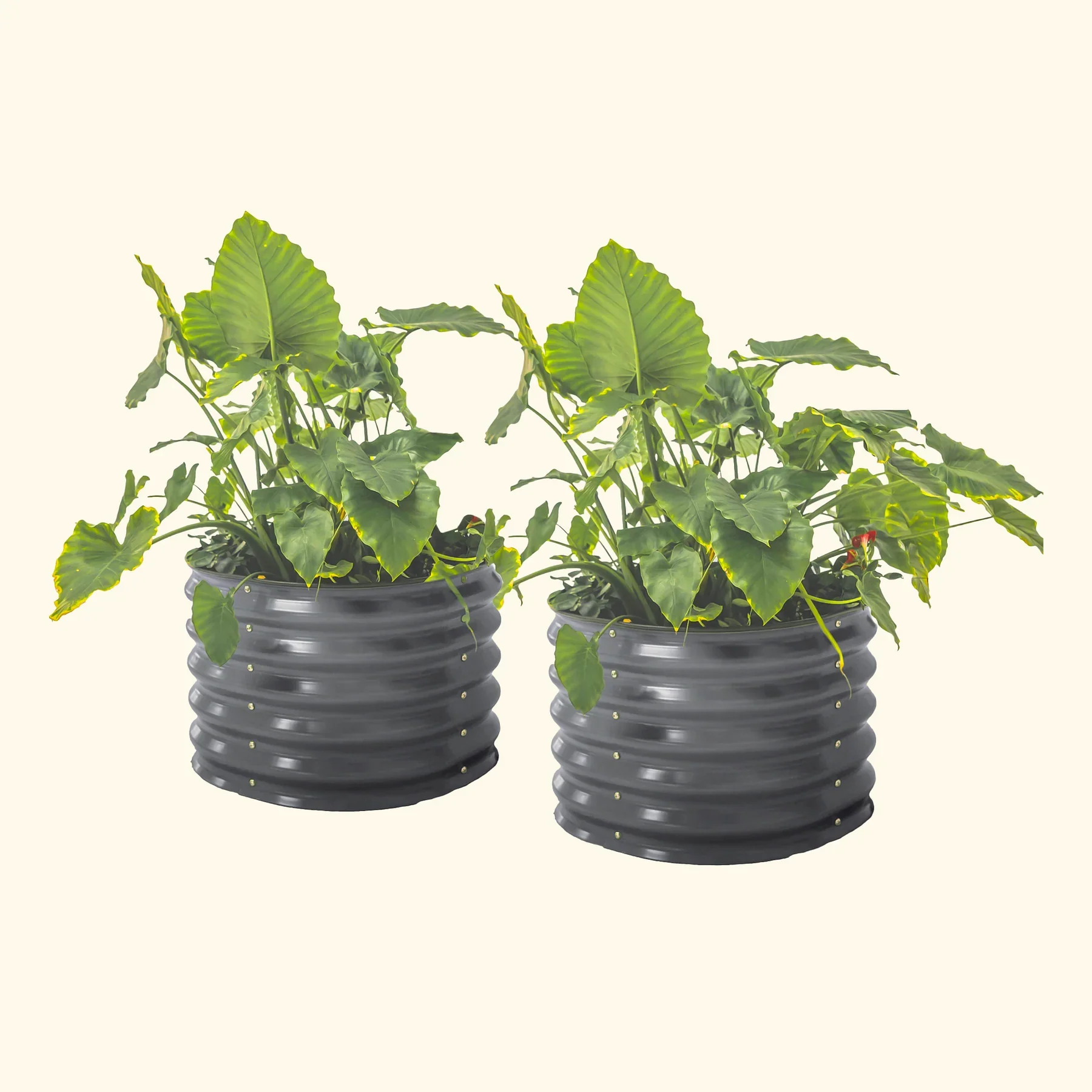 Zelfbewaterende plantenbak - set van twee