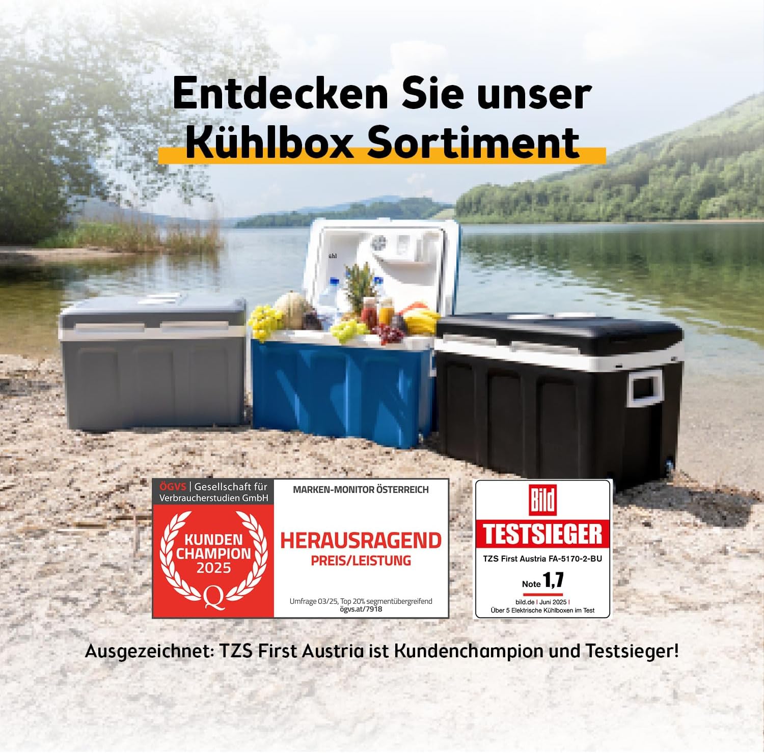 TZS First Austria - Kühlbox 45L elektrisch 12V 230V Anschluss für Auto & Steckdose - Thermoelektrische Cool Box kühlt & wärmt - Mini Kühlschrank mit Rollen - Für Camping, Festivals, Reisen - Grau