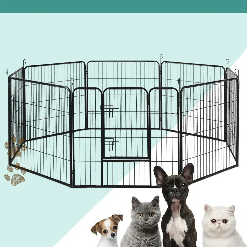 Pet Supplies