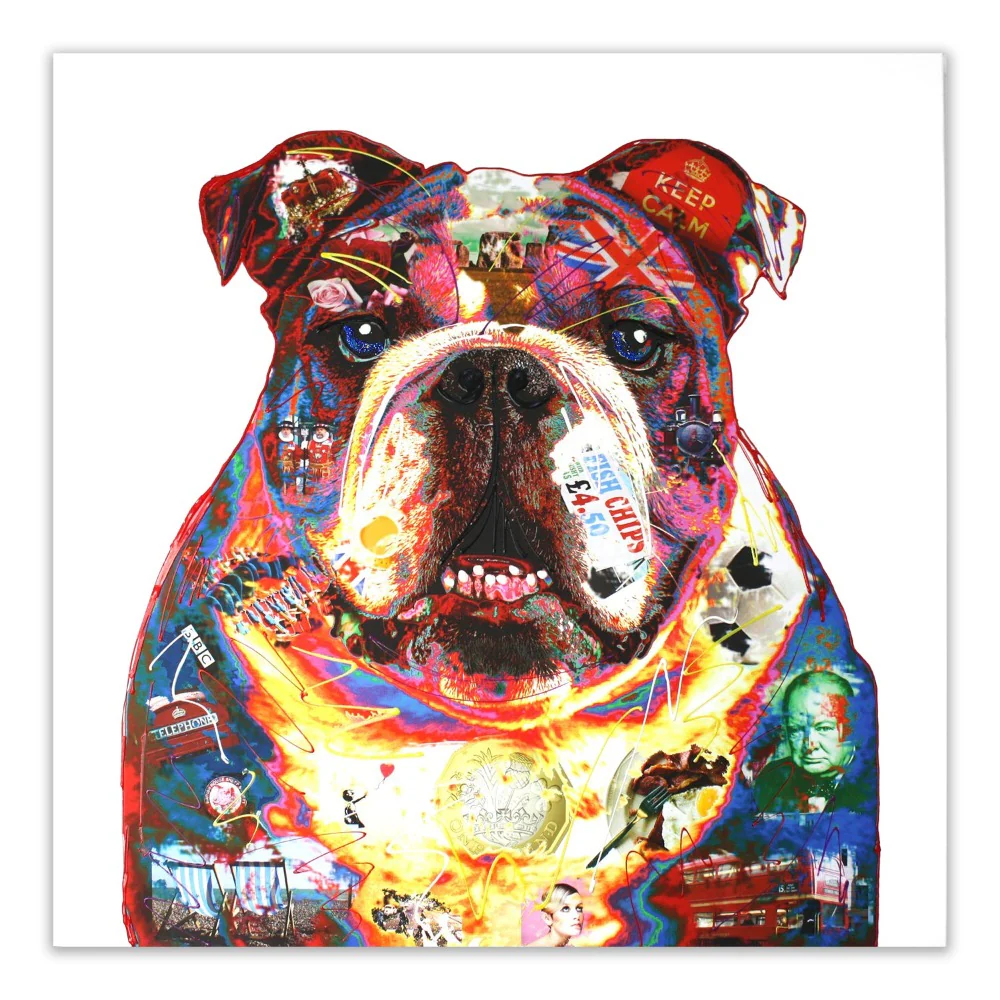 Billson The Bulldog