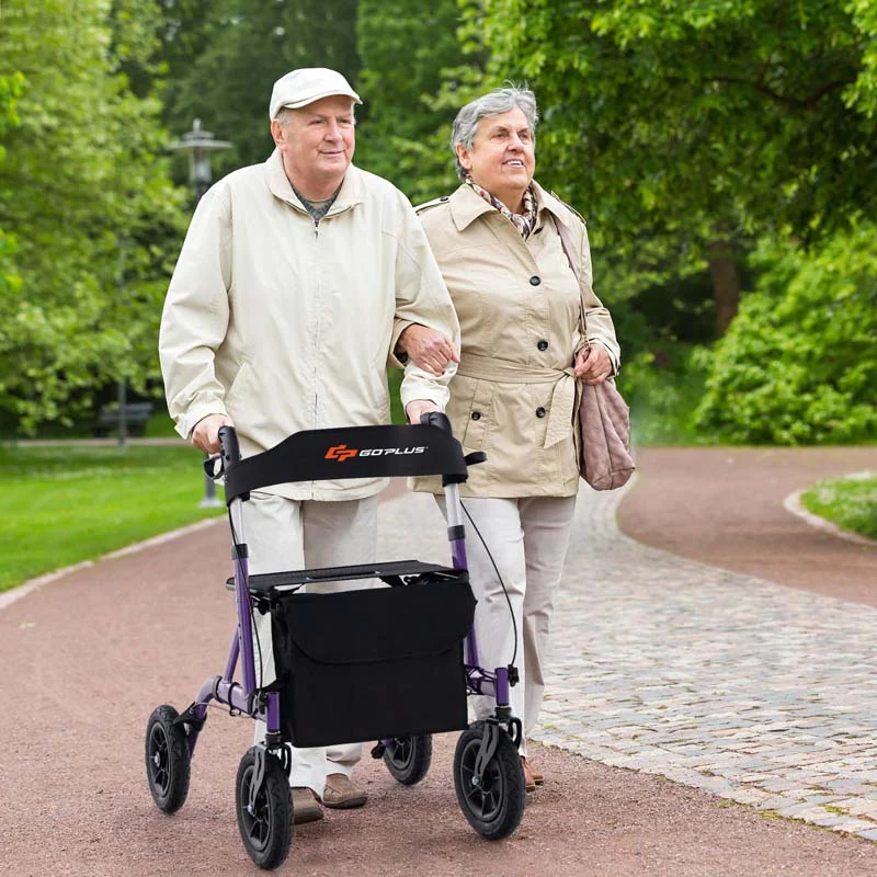 Foldable Rolling Walker with 9.5