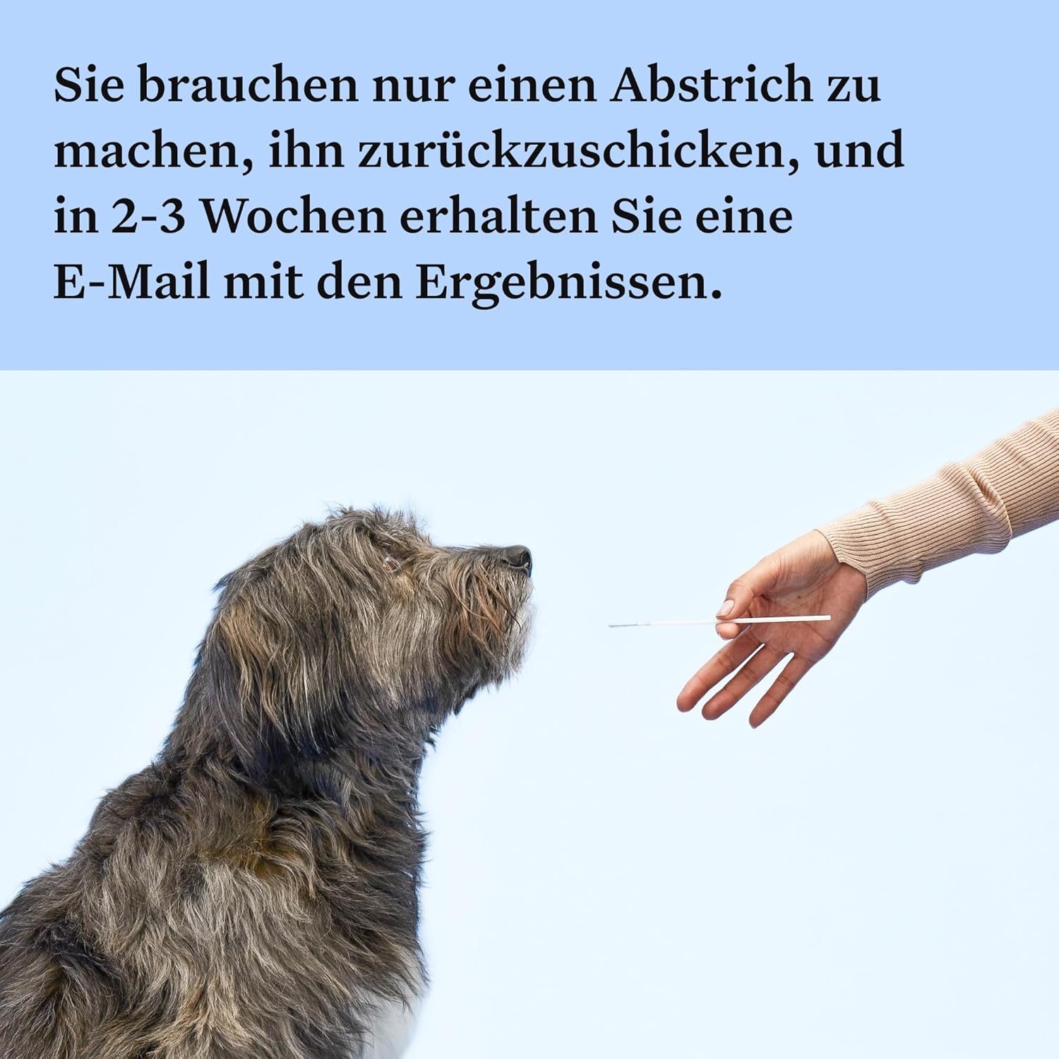 Wisdom Panel zur Feststellung von Hunderassen DNA-Test-Kit – przise Rassen-ID MDR1 Abstammung Verwandte