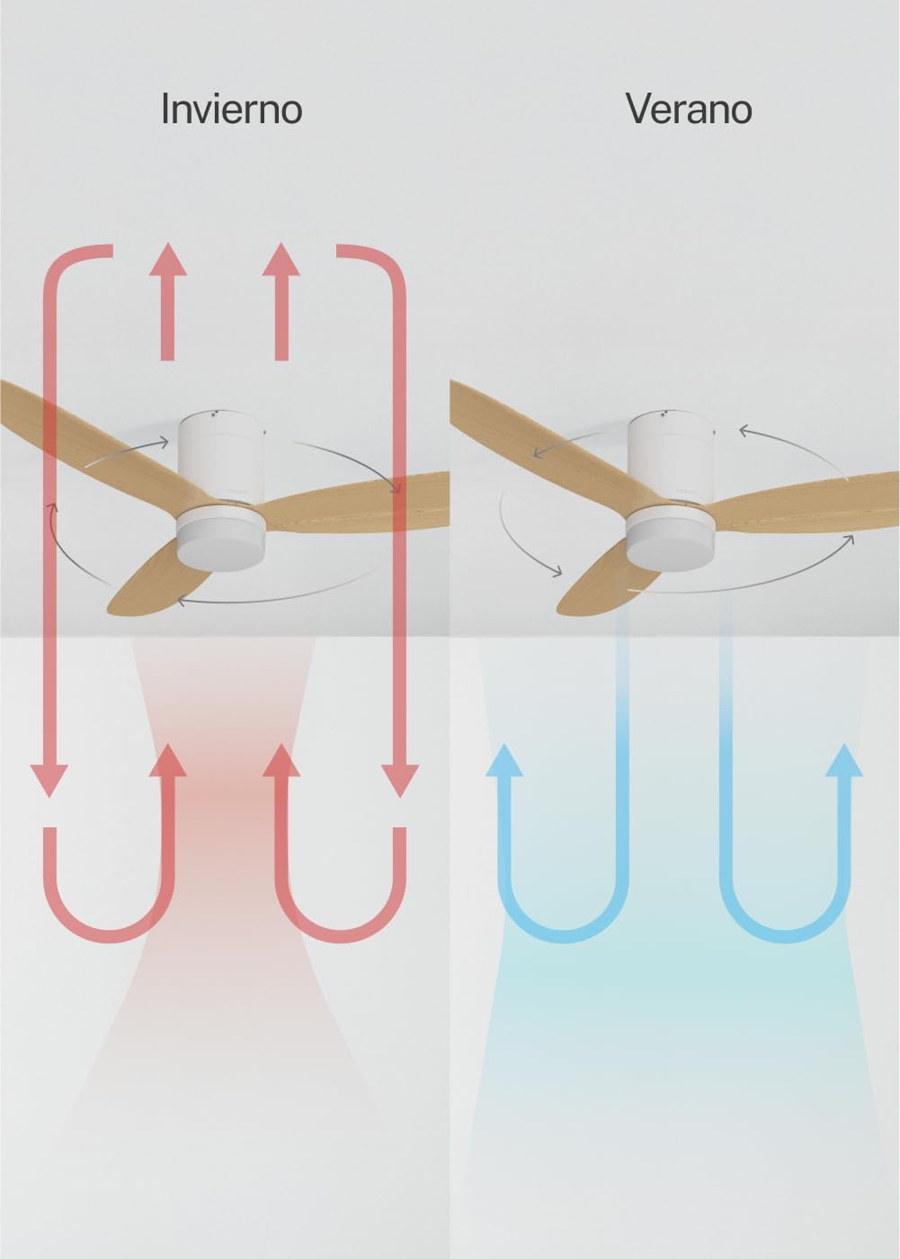 CREATE / WIND LITE/Ventilateur de plafond avec lumière en bois clair avec Wifi et télécommande / 40W, Silencieux, Ø132 cm, 6 vitesses, programmable, fonction été-hiver, lumière LED 3 températures