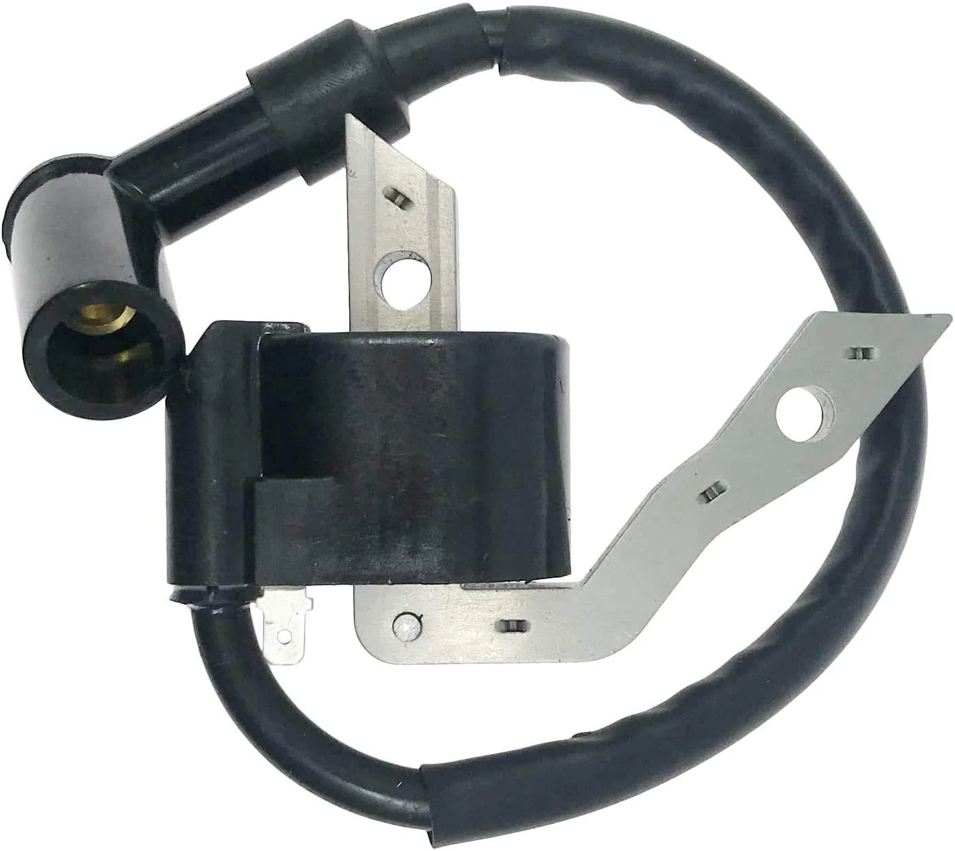 Ignition Coil Module Magneto For MI-T-M Pressure Washer EX27 Motor