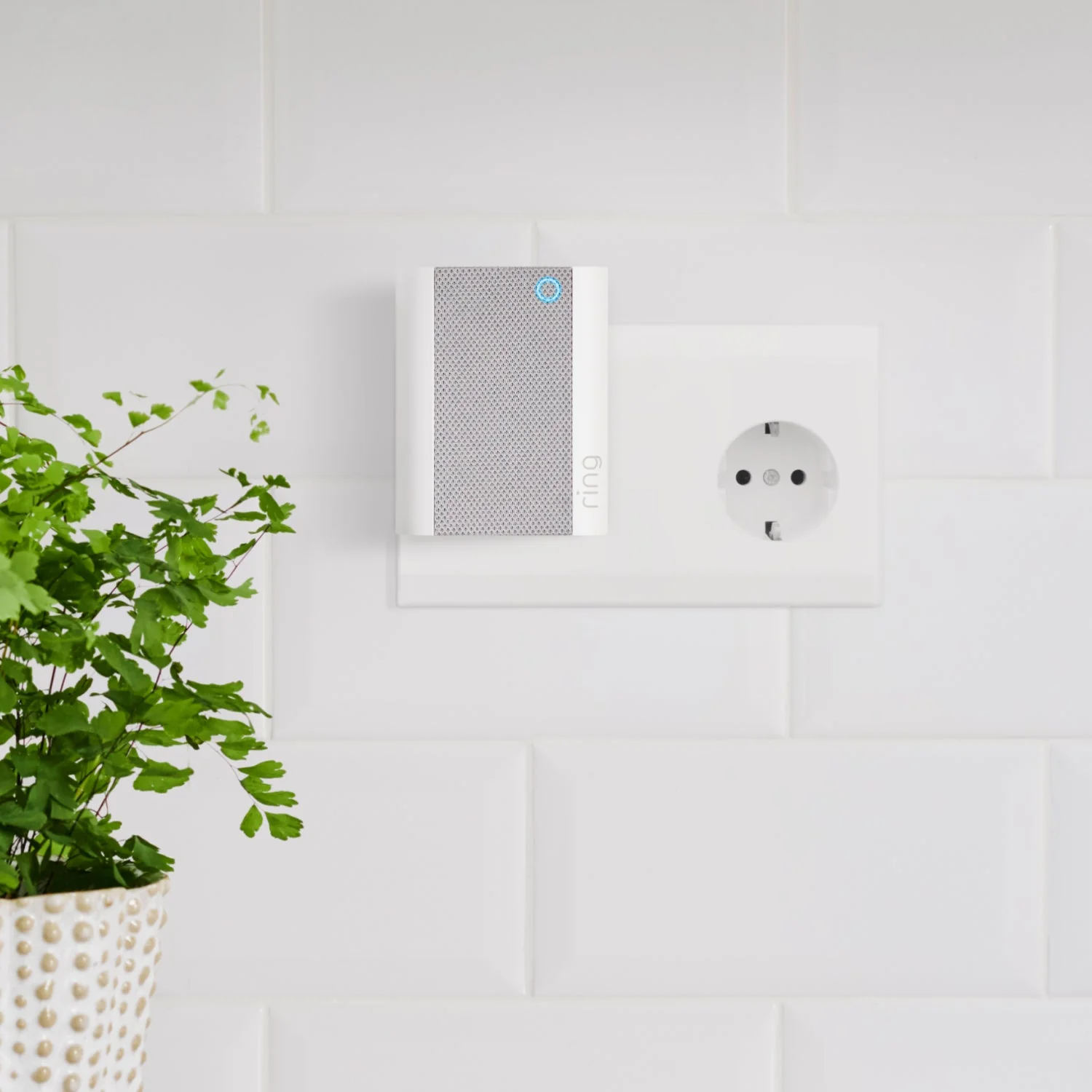Battery Video Doorbell Plus mit Chime