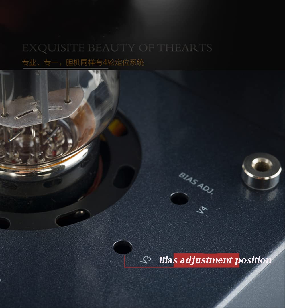 MUZISHARE Push Pull Integrated Amplifier Upgrade