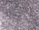Feiner Holo-Glitzer