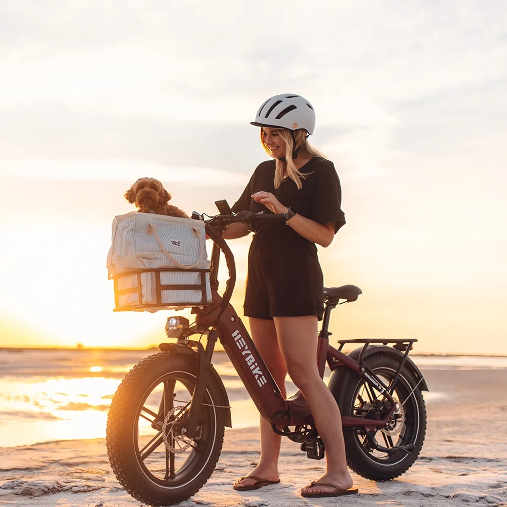 Heybike Ranger S Electric Bike for Adults, 750W Foldable Ebike with 48V 14.4AH Removable Battery, 20