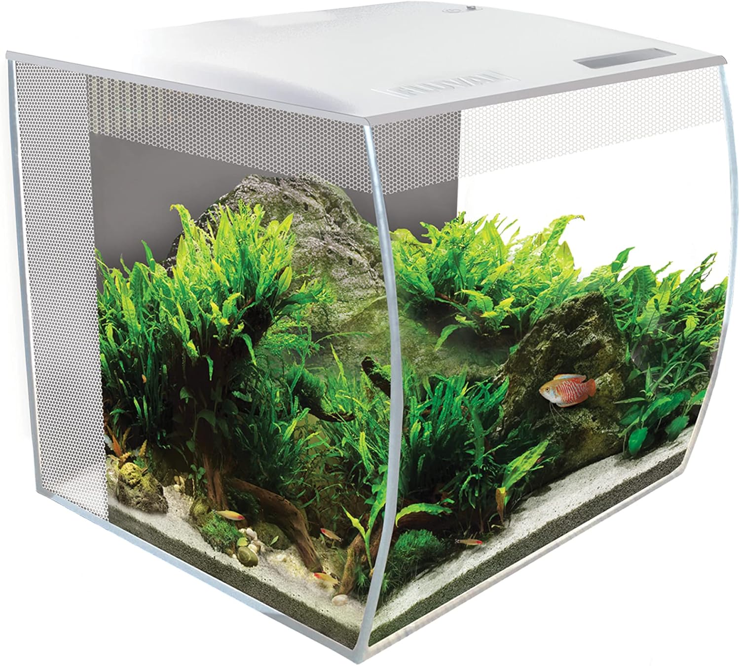 Fluval Flex Aquarium 123L, Süßwasser Aquarium, schwarz