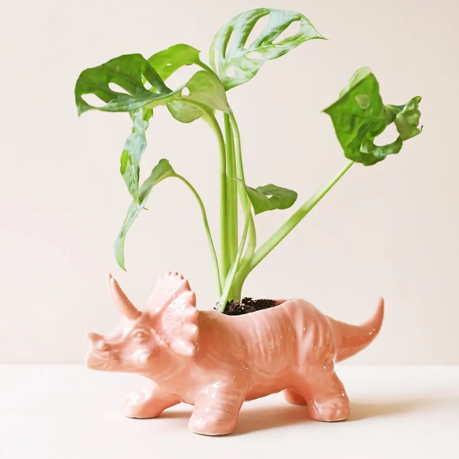 Ceramic Stegosaurus Planter