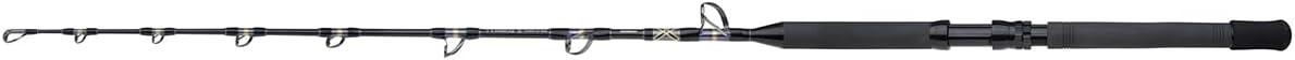 SHIMANO Angelrute Tyrnos B Standup Spiral 1,65m 5'5