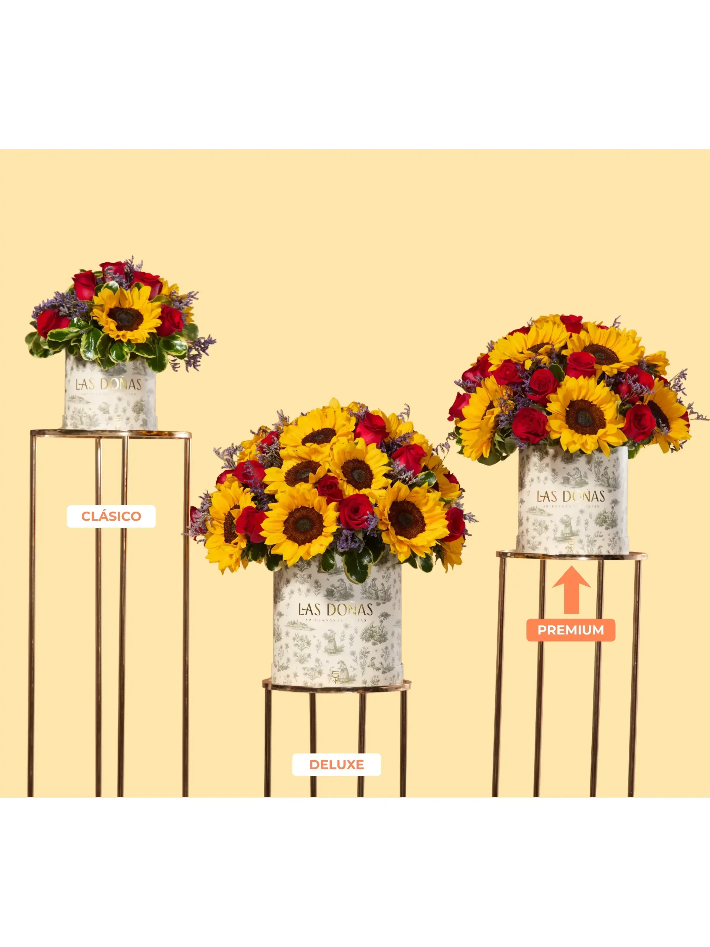Box Rosas y Girasoles