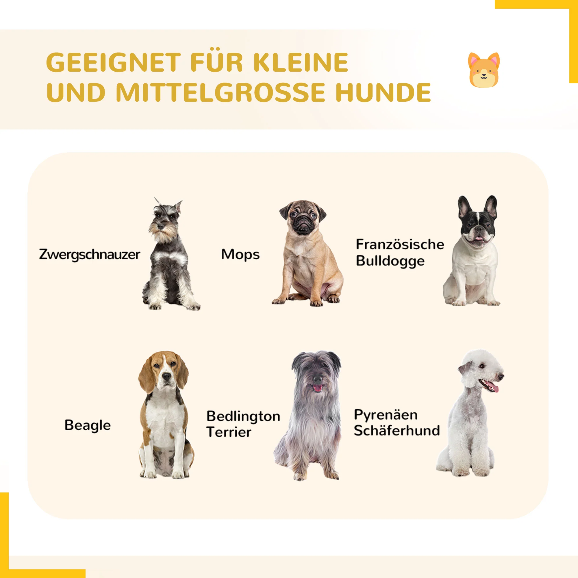 PawHut Puppy Run modulair ontwerp 16 panelen 2 deuren weerbestendig staal 3,2 x 3,2 x 1 m grijs