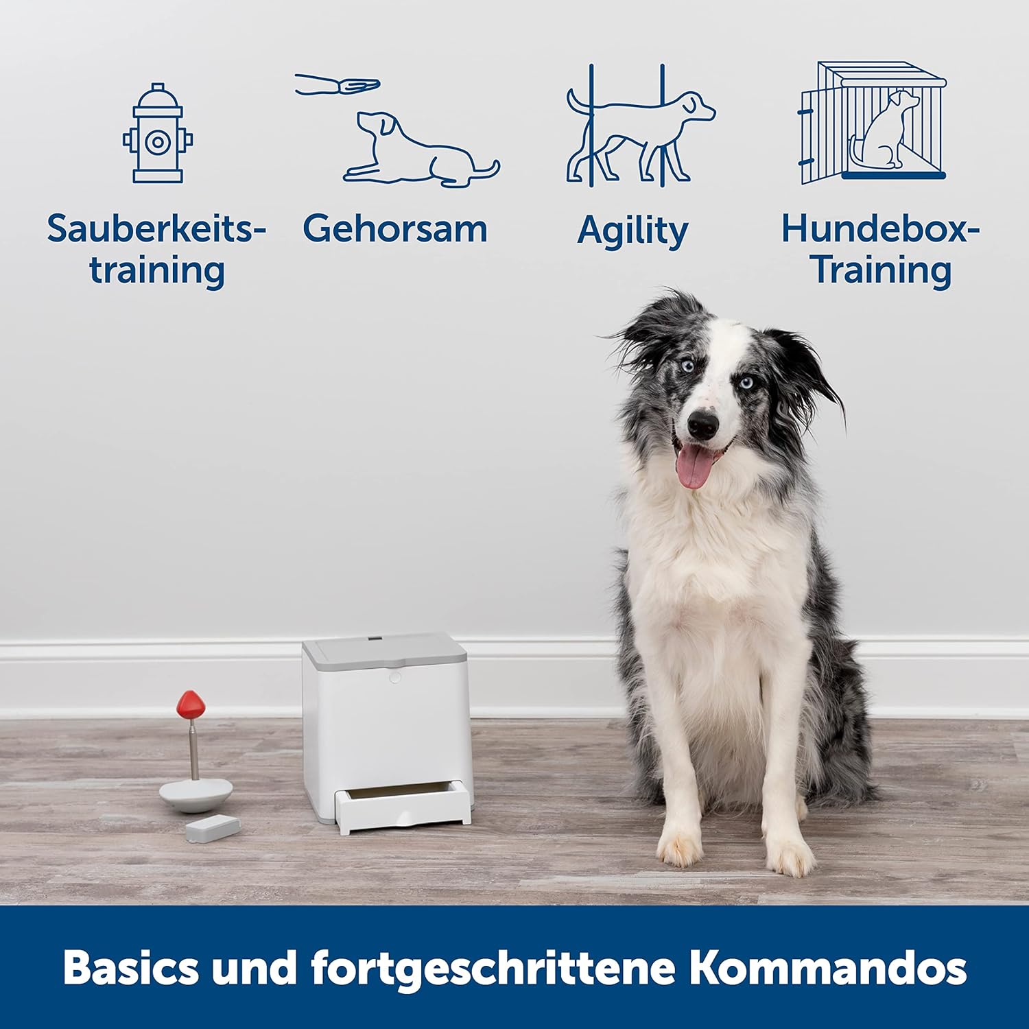 PetSafe Teach und Treat Ferngesteuerter Belohnungstrainer für Hunde, Training und Positive Verstrkung, 4 D Batterien ntig, Grau