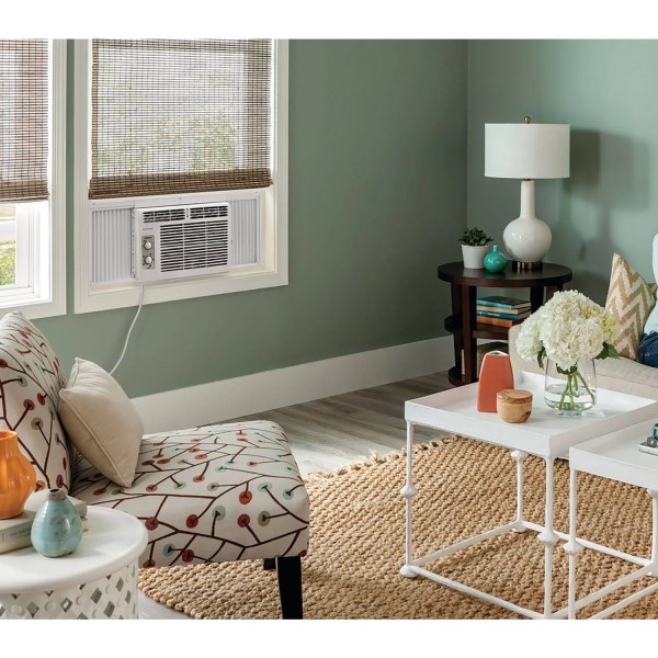 Frigidaire 5,000 BTU 115V Window-Mounted Mini Air Conditioner