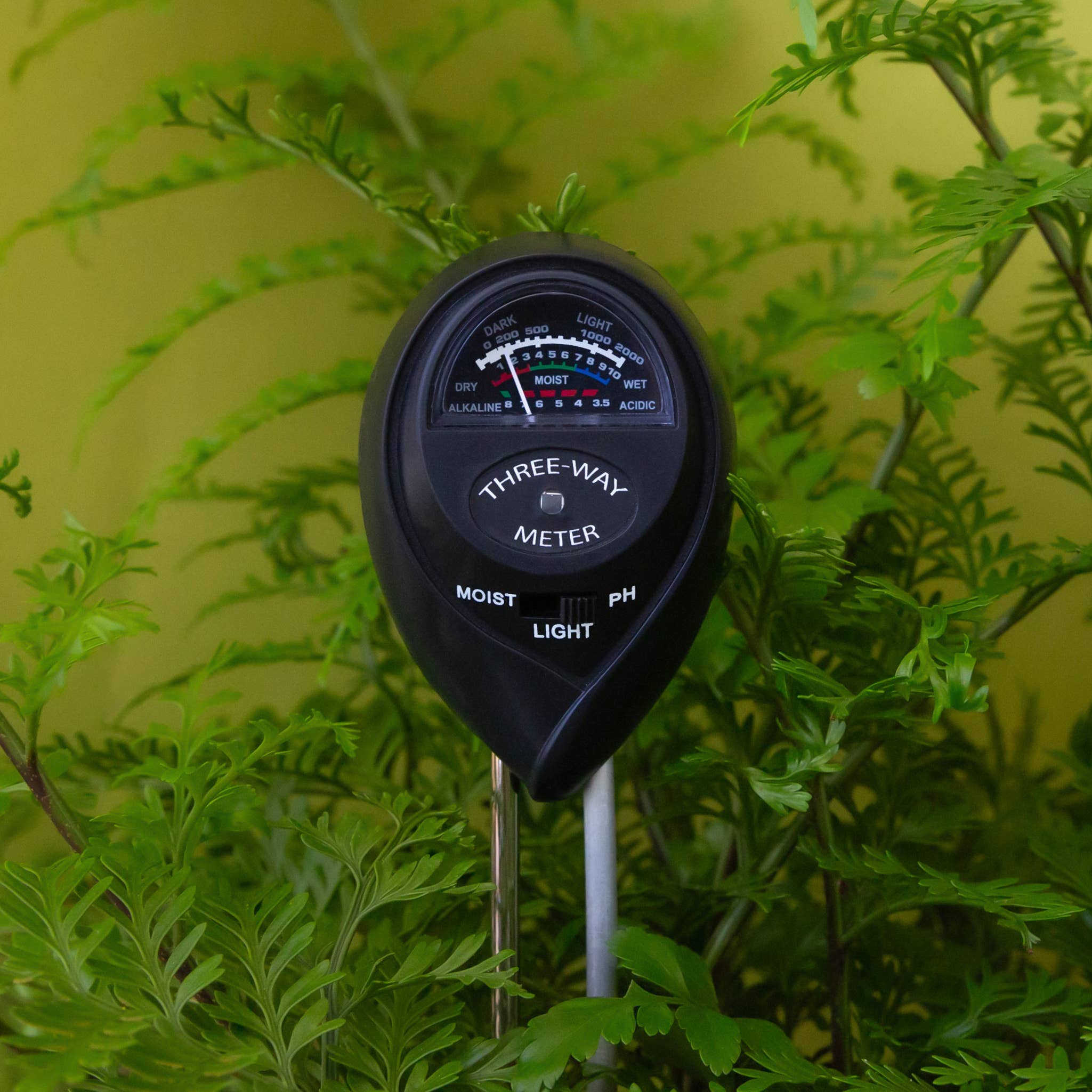3-in-1 Moisture Meter | Black Jungle Club