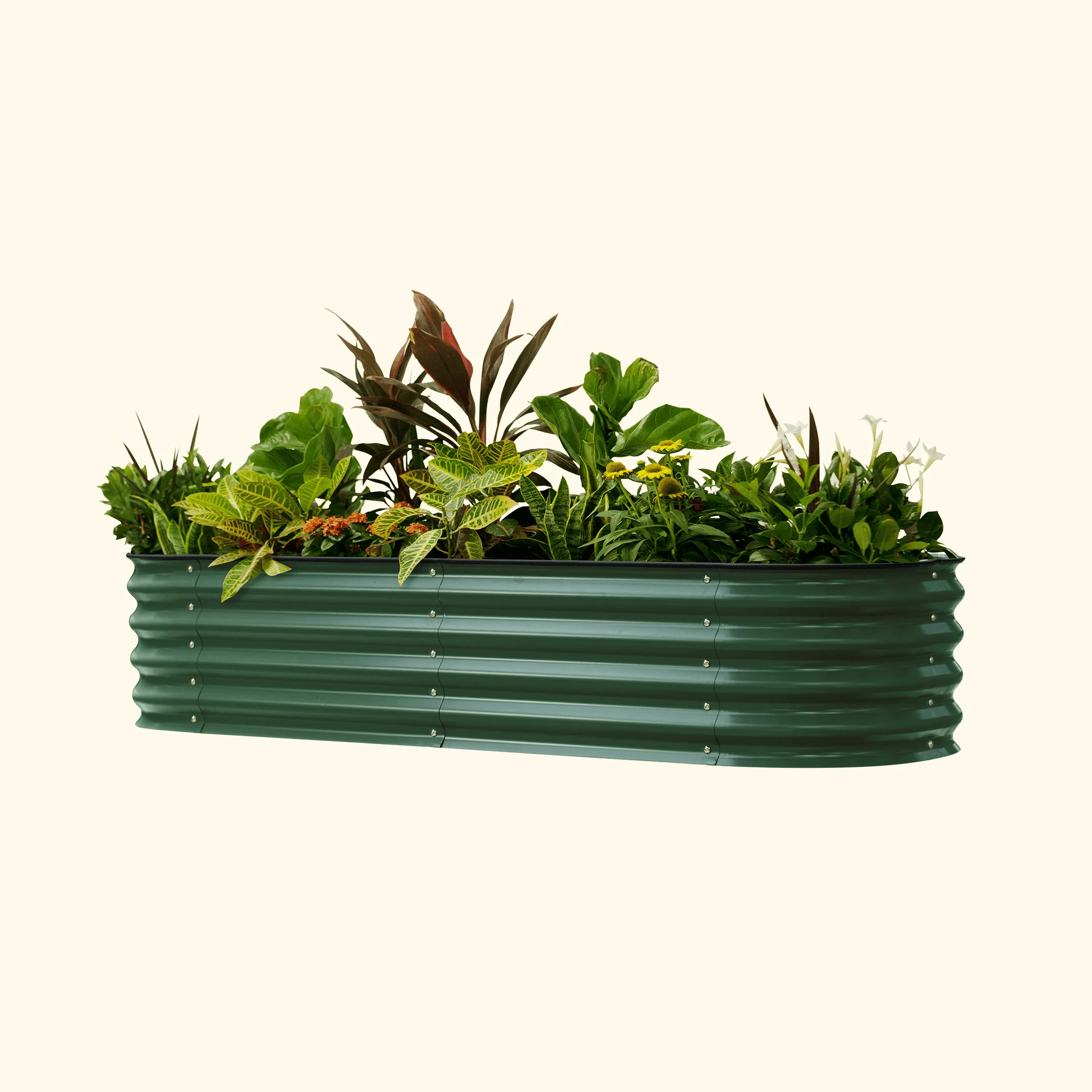 Zelfbewaterende verhoogde tuinbak