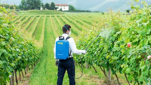 Matabi   Irroratore elettrico Evolution 15 LTC   Batteria al litio 18V   15L   Agricoltura e giardinaggio professionali   Alta precisione   Per trattamenti professionali   Prodotto in Spagna : Amazon.it: Giardino e giardinaggio