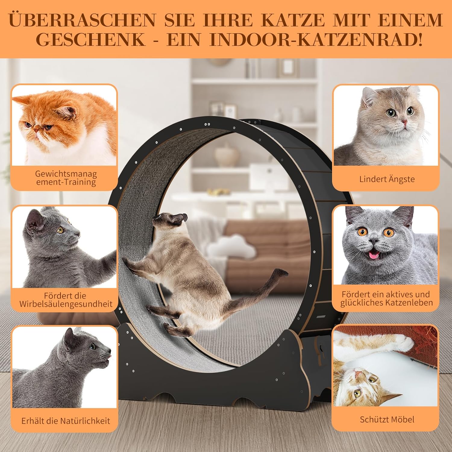 Naviconvex Katzenlaufrad laufrad Katze Laufen Laufrad Katze Laufen Super Leise Katzen Laufrad Laufrad für Katzen Laufrad Katze Katzenrad Katzenlaufrad XL Holzfarbe
